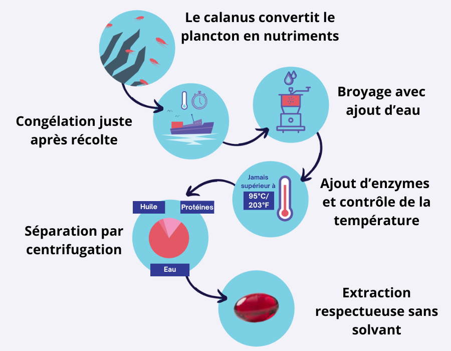 Diagramme de fabrication de l'huile de calanus qualité Zooca